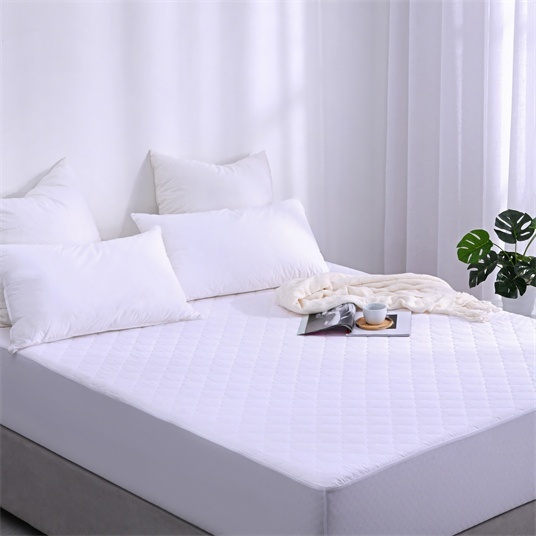 Mattress Pillow Protectors