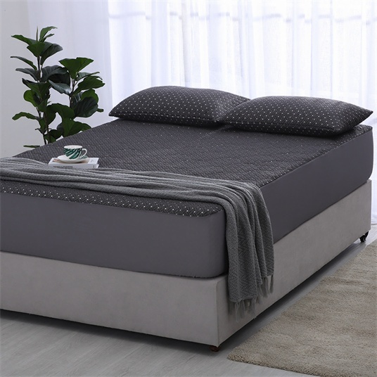 Mattress Pillow Protectors