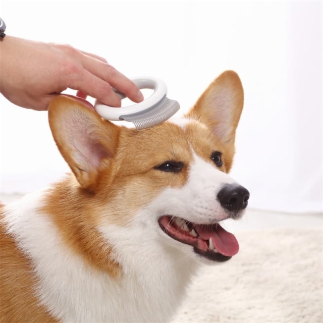 Pet Accessaries