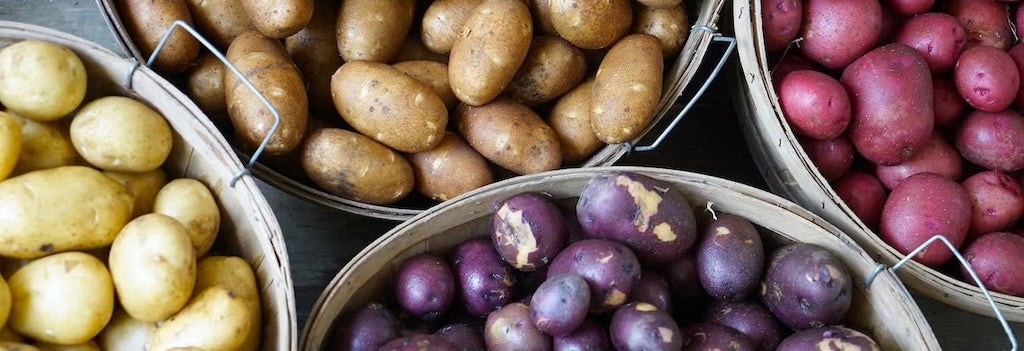 A variety of potatoes in baskets, including yellow, red, purple, and russet potatoes