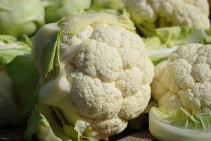 head of cauliflower