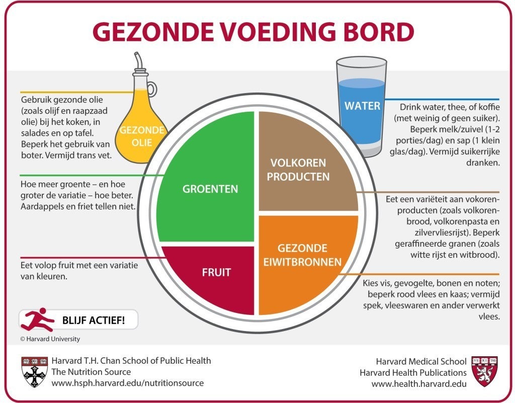 Dutch Healthy Eating Plate