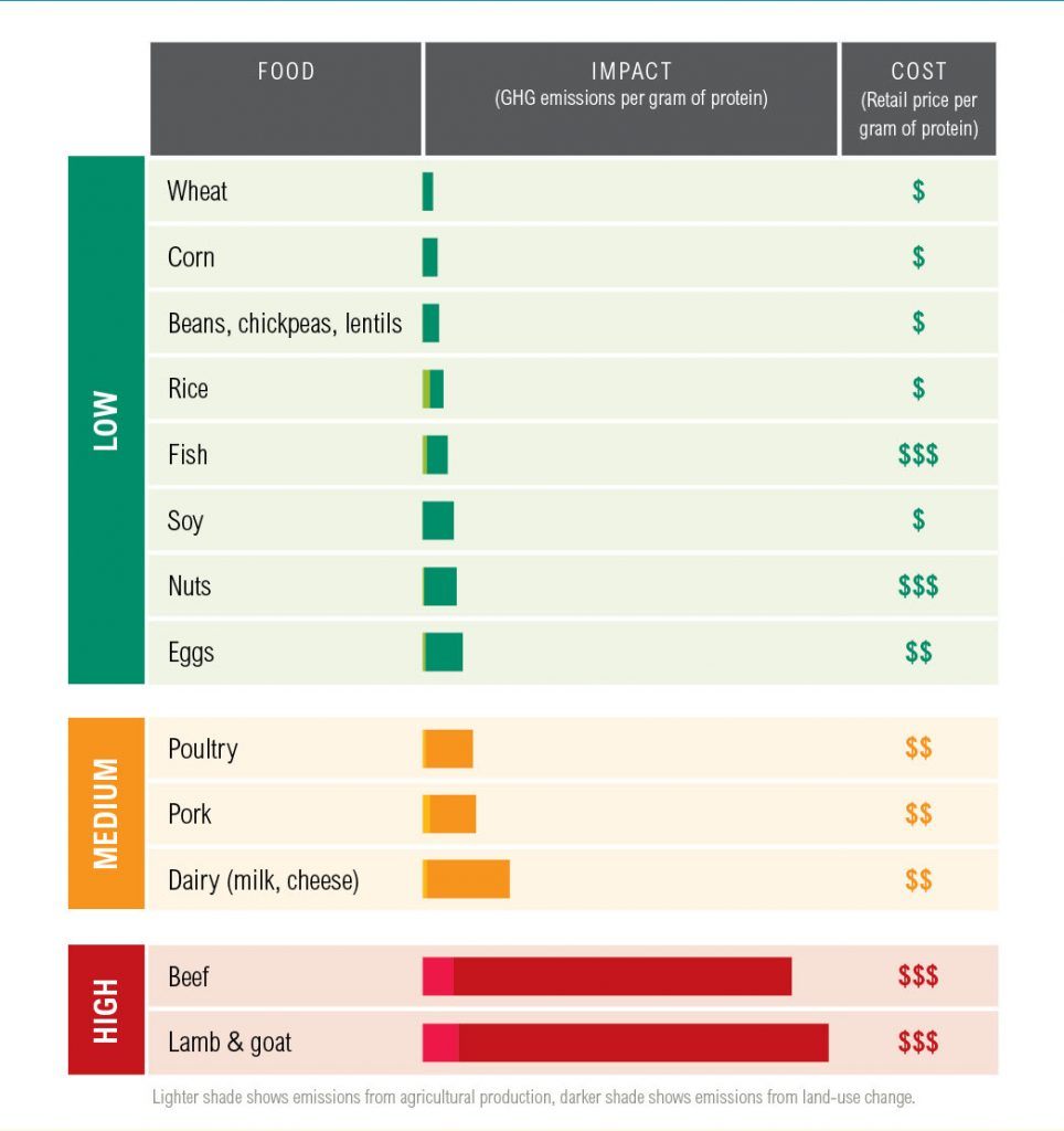 Protein Scorecard