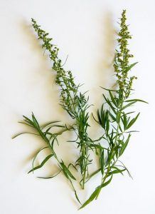 sprigs of tarragon